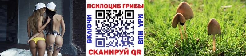 Псилоцибиновые грибы Magic Shrooms  Купить где  Выборг 