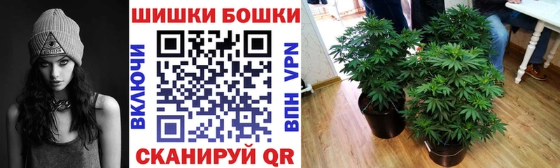 Шишки марихуана планчик  Купить где  Выборг 