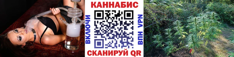 Канабис конопля Выборг